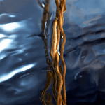 Name_8294