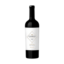 Cadus Sv Malbec Viña Vida 750ml