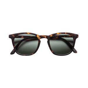 Lentes Solskin Square Tortoise