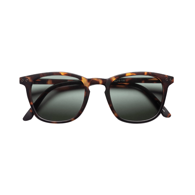 Lentes-Solskin-Square-Tortoise