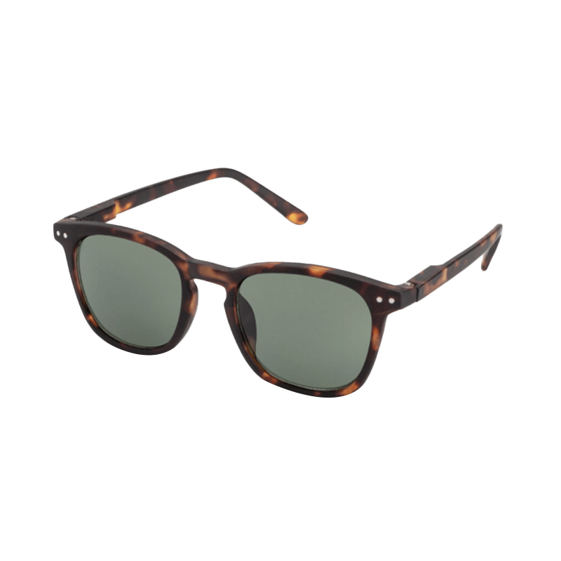 Lentes-Solskin-Square-Tortoise