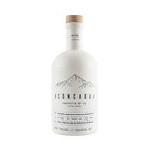 Gin Aconcagua Blanco 750ml