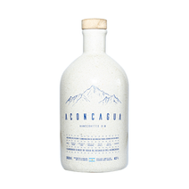 Gin Aconcagua Ceramica 950ml