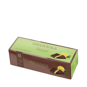 Galletitas Limon Con Chocolate Havanna  x12