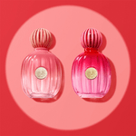 AB-Icon-Splendid-EDP-