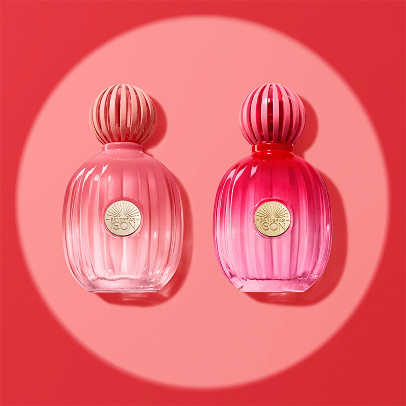 AB-Icon-Splendid-EDP-