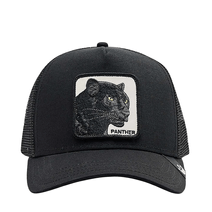 Gorra Baseball The Panther