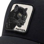 Gorra-Baseball-The-Panther