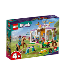 Clase de Equitación Lego Friends