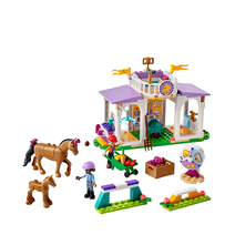 Clase de Equitación Lego Friends