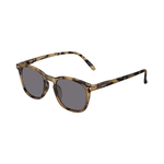Lentes-Sun-Matt-Sandy-Tortoise-