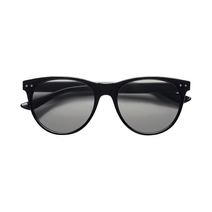 Lentes B+D Sun Shiny Black
