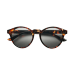 Lentes-B-D-Sun-Shiny-Tortoise-4602