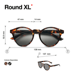 Lentes-B-D-Sun-Shiny-Tortoise-4602