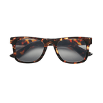 Lentes-B-D-Sun-Shiny-Tortoise-4603