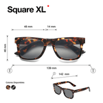 Lentes-B-D-Sun-Shiny-Tortoise-4603