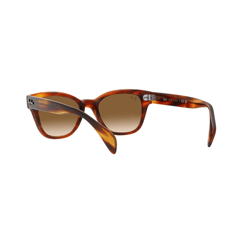 Lentes-Ray-Ban-RB0880S-Havana-