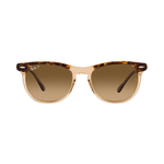 Lentes-Ray-Ban-Eagle-Eye-Havana