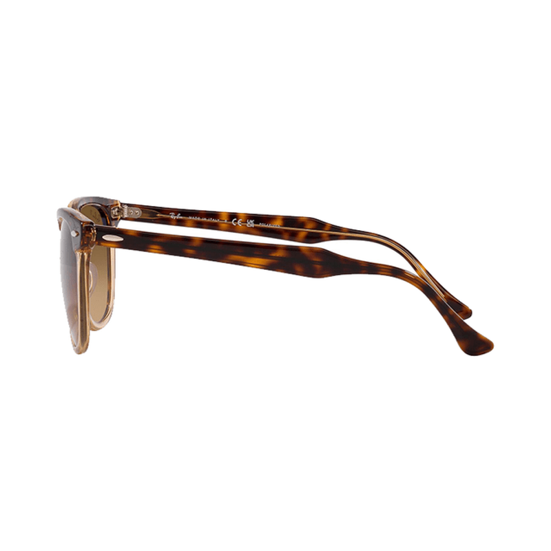 Lentes-Ray-Ban-Eagle-Eye-Havana