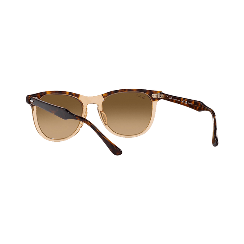 Lentes-Ray-Ban-Eagle-Eye-Havana