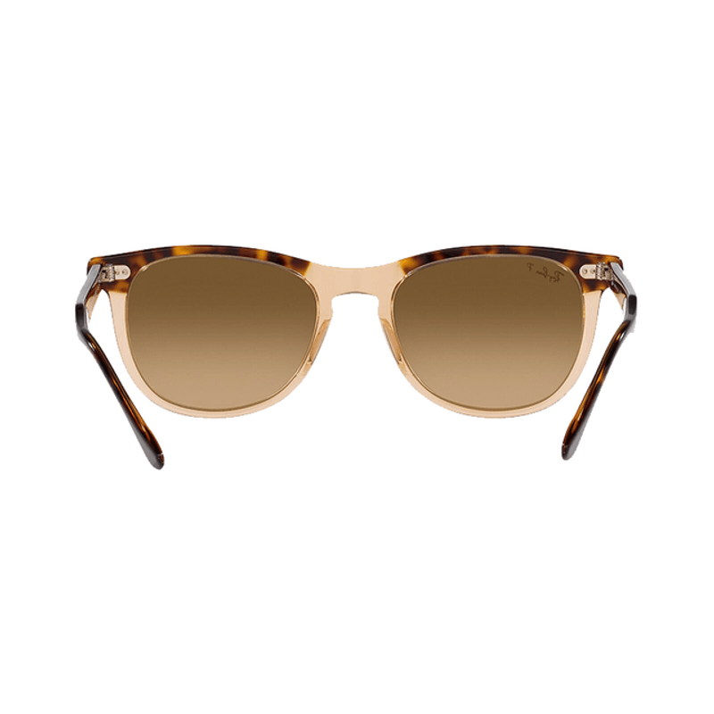 Lentes-Ray-Ban-Eagle-Eye-Havana