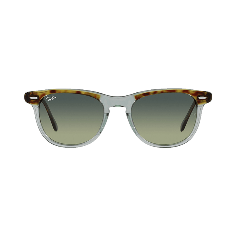 Lentes-Ray-Ban-Eagle-Eye-Havana---Verde-53