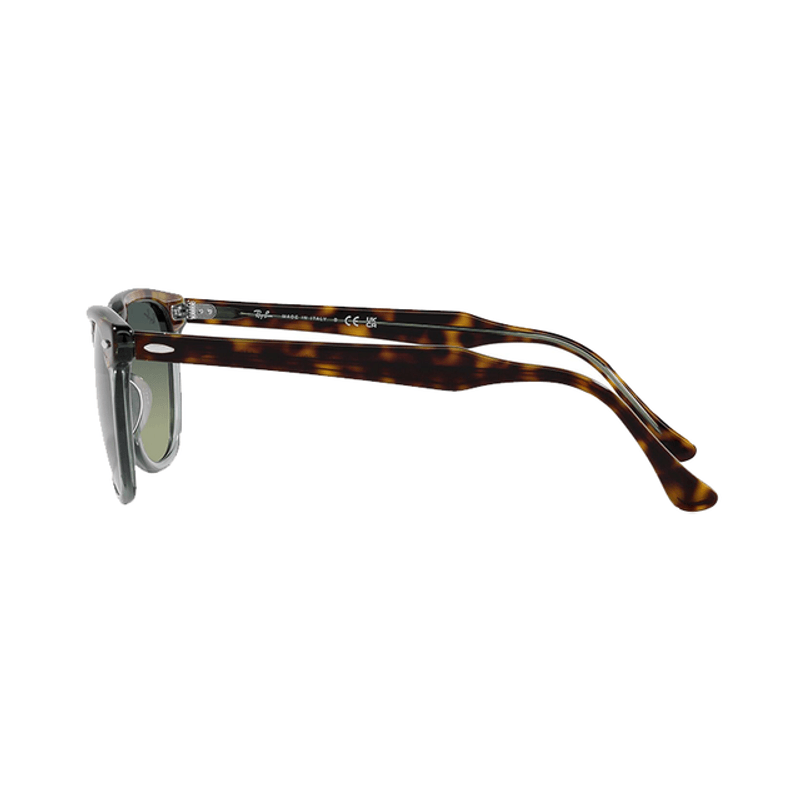 Lentes-Ray-Ban-Eagle-Eye-Havana---Verde-53