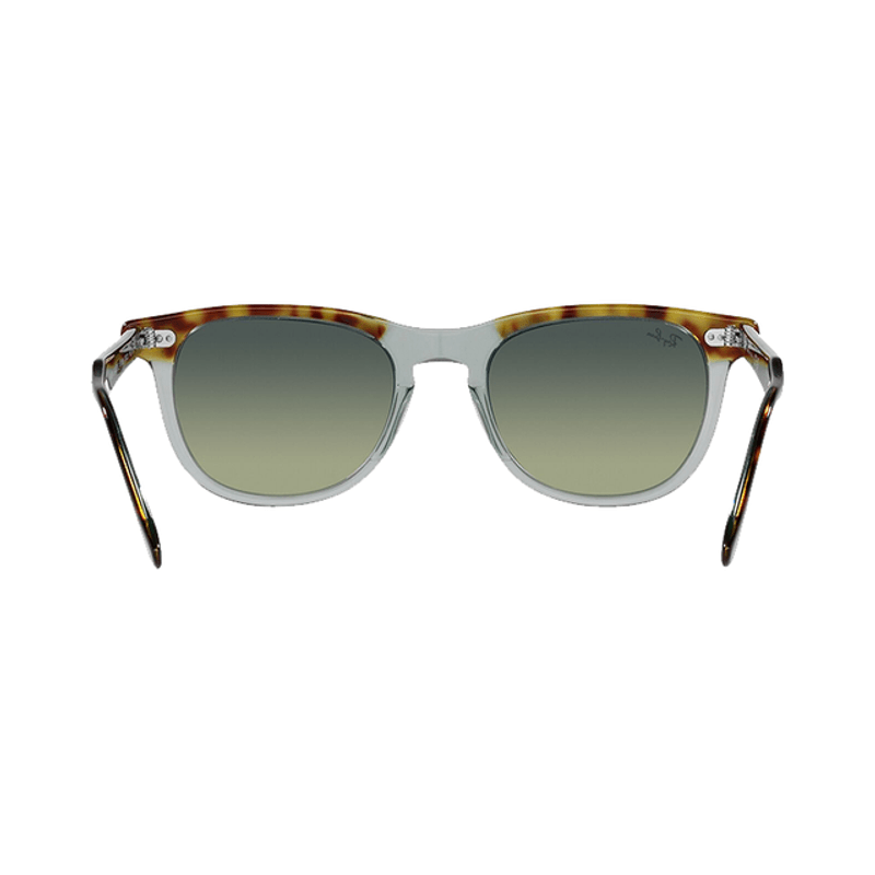 Lentes-Ray-Ban-Eagle-Eye-Havana---Verde-53