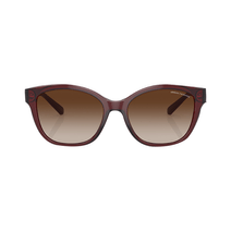 Lentes Armani Exchange AX4127S marron Degradado