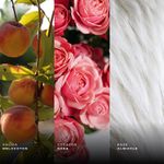 ShopGallery--0053-735567