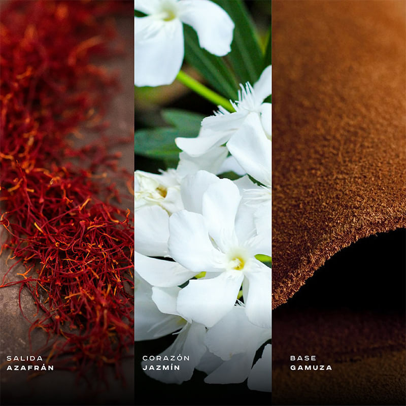ShopGallery--0001-735593