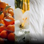ShopGallery--0069-735559