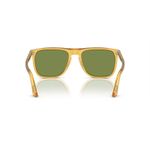Persol_0014_734987-4.jpg