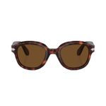 Persol_0032_734961-6.jpg