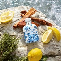 Edición Limitada Light Blue PH Dolce & Gabbana EDT Summer Vibes 125ml