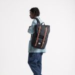 Herschel_0076_739747.jpg