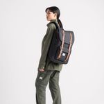 Herschel_0077_739747.jpg
