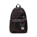 Herschel_0098_739743.jpg