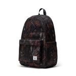 Herschel_0096_739743.jpg