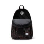Herschel_0097_739743.jpg