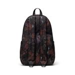 Herschel_0095_739743.jpg