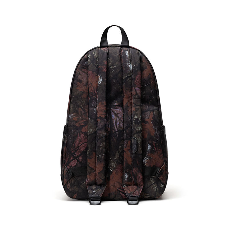 Herschel_0095_739743.jpg
