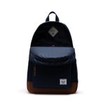 Herschel_0101_739742.jpg