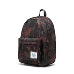 Herschel_0017_739765.jpg