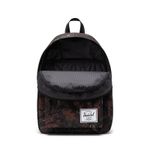 Herschel_0018_739765.jpg