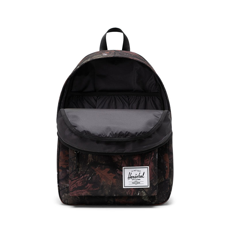 Herschel_0018_739765.jpg