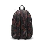 Herschel_0016_739765.jpg