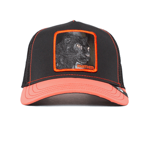 Gorra Goorin Dark Shines | Glow Cats