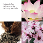 CDIMEX_0001_738783-3.png