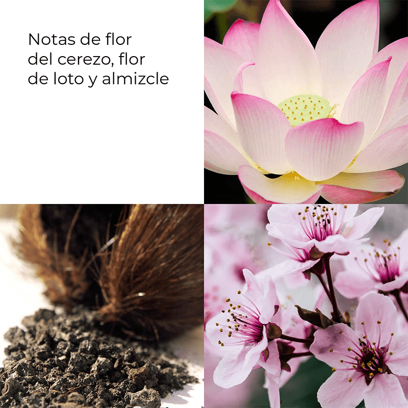 CDIMEX_0001_738783-3.png